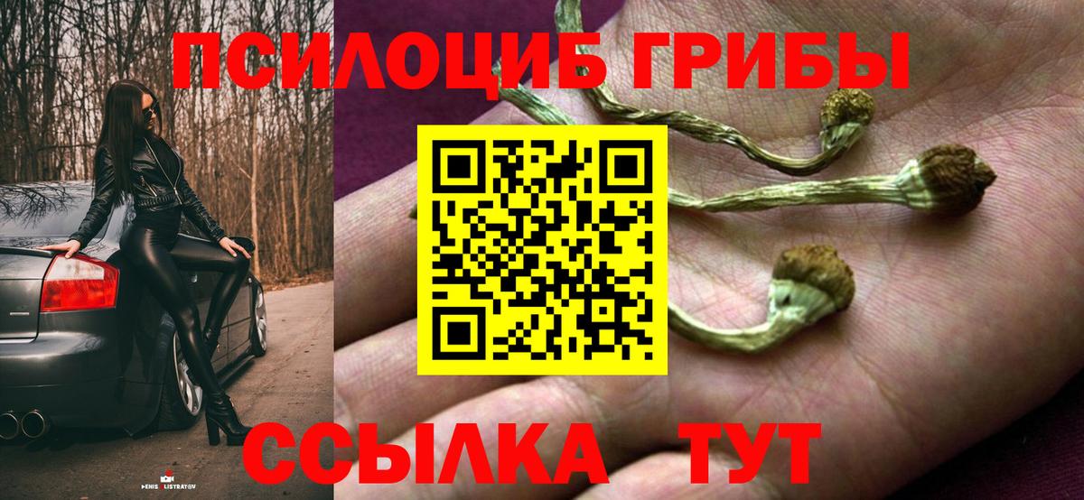 Псилоцибиновые грибы Cubensis Саратов